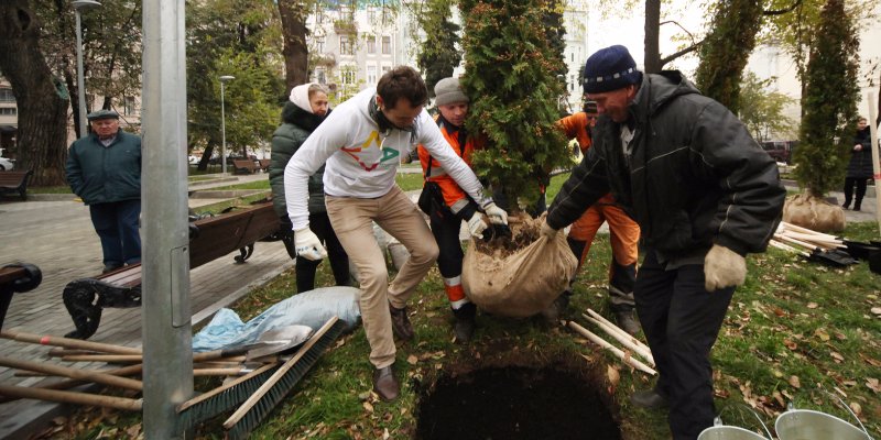 На Садовом кольце появится почти 100 новых скверов